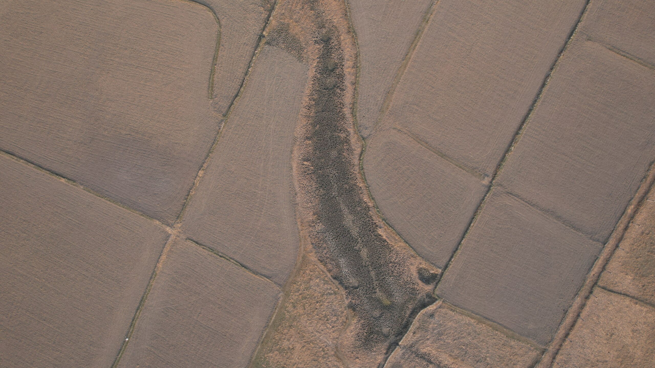 Aerial survey flight